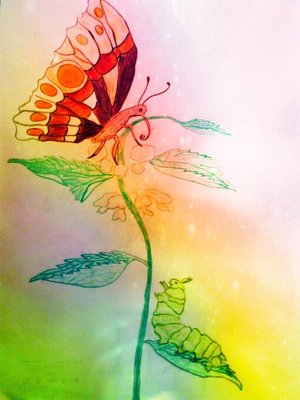 cover image of Die Raupe Frieda und Fridolin der Schmetterling